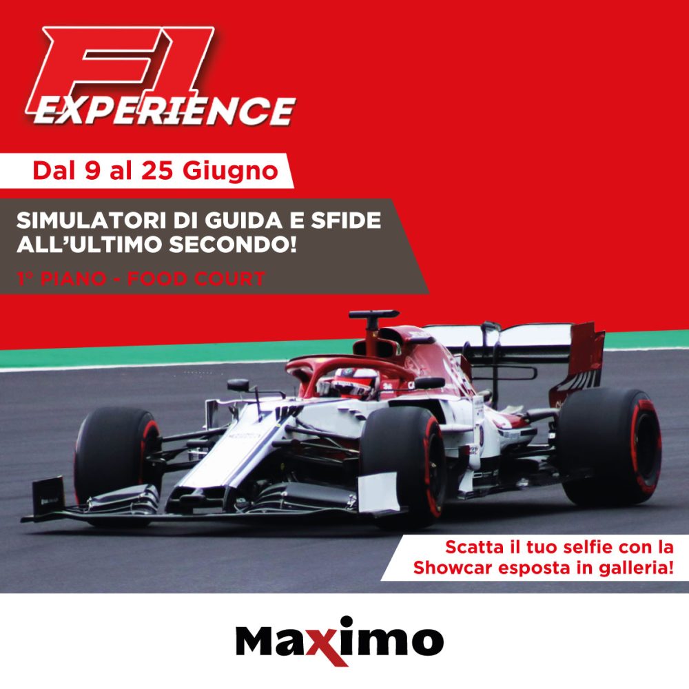 F1 EXPERIENCE - FORMULA 1