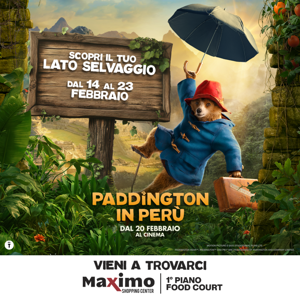 Paddington grafica news